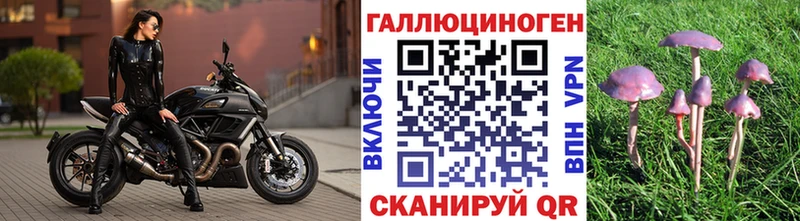 Купить закладки  Ельня  Галлюциногенные грибы Magic Shrooms 